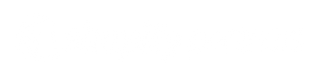 Shopify Partner